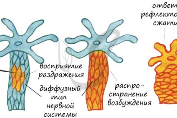 Kraken ссылка tor