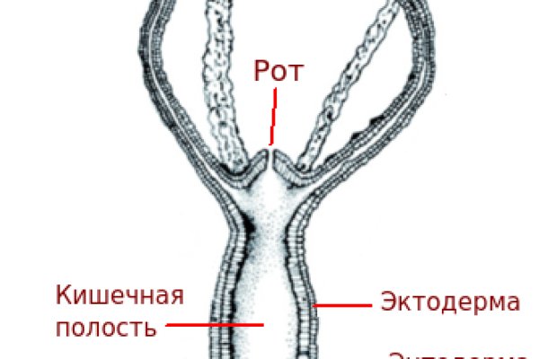 Кракен ссылка замена