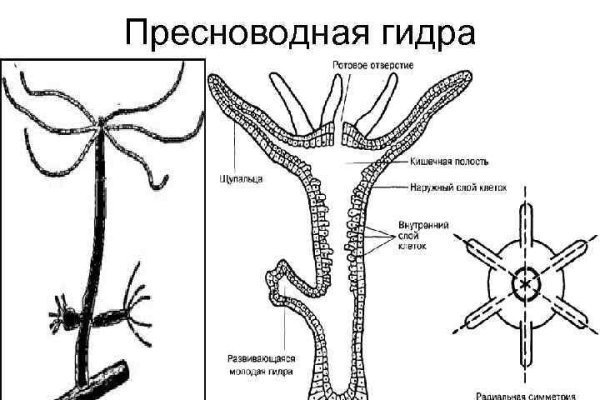 Кракен сайт ссылка kr2web in