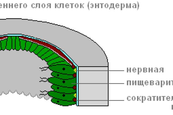 Кракен наркота что это