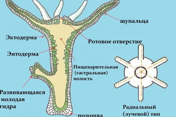 Kraken официальное зеркало kraken dark link